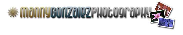 Head Banner