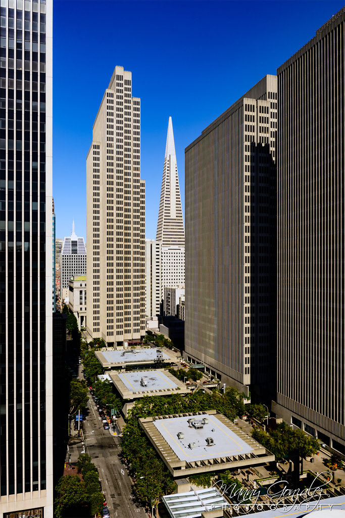 D80-2848-2048.jpg