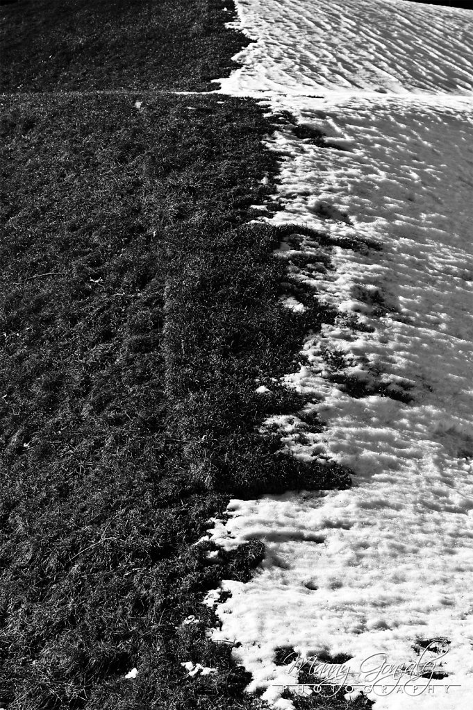 DSC-1670-2048.jpg