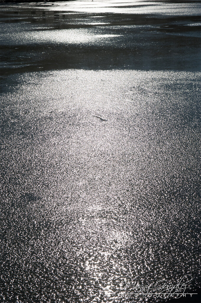 DSC-2446-2048.jpg