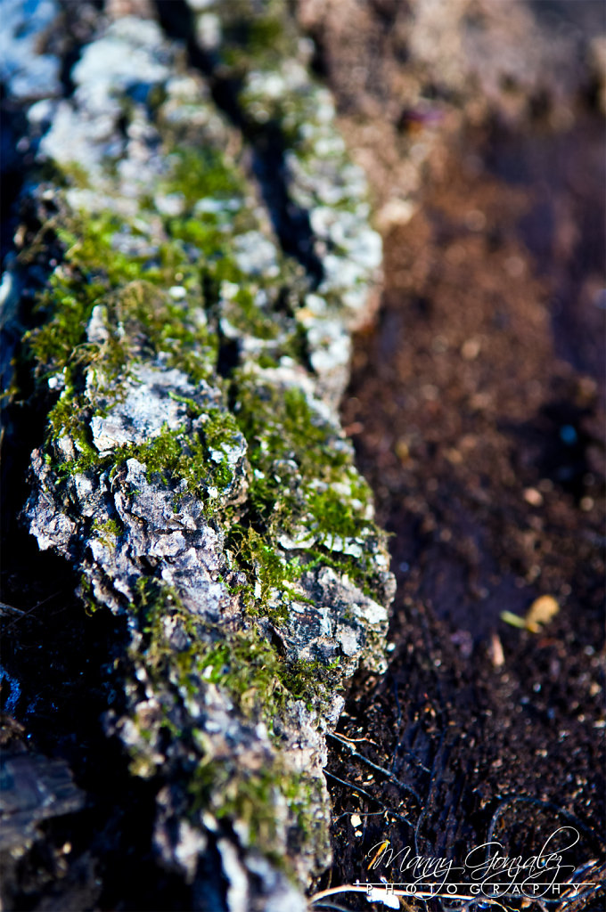 DSC-6077-2048.jpg