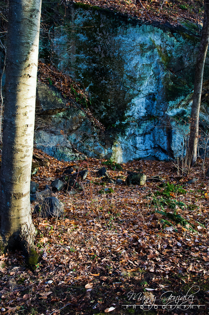 DSC-6084-2048.jpg