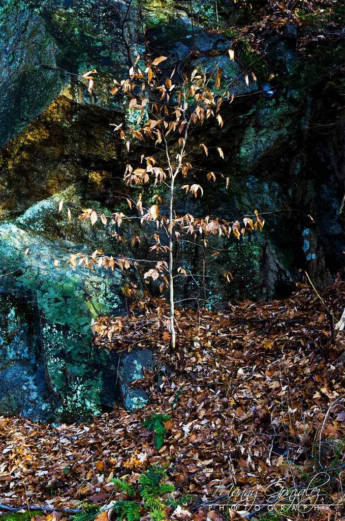 DSC-6085-2048.jpg