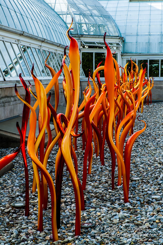 DSC-8212-2048.jpg