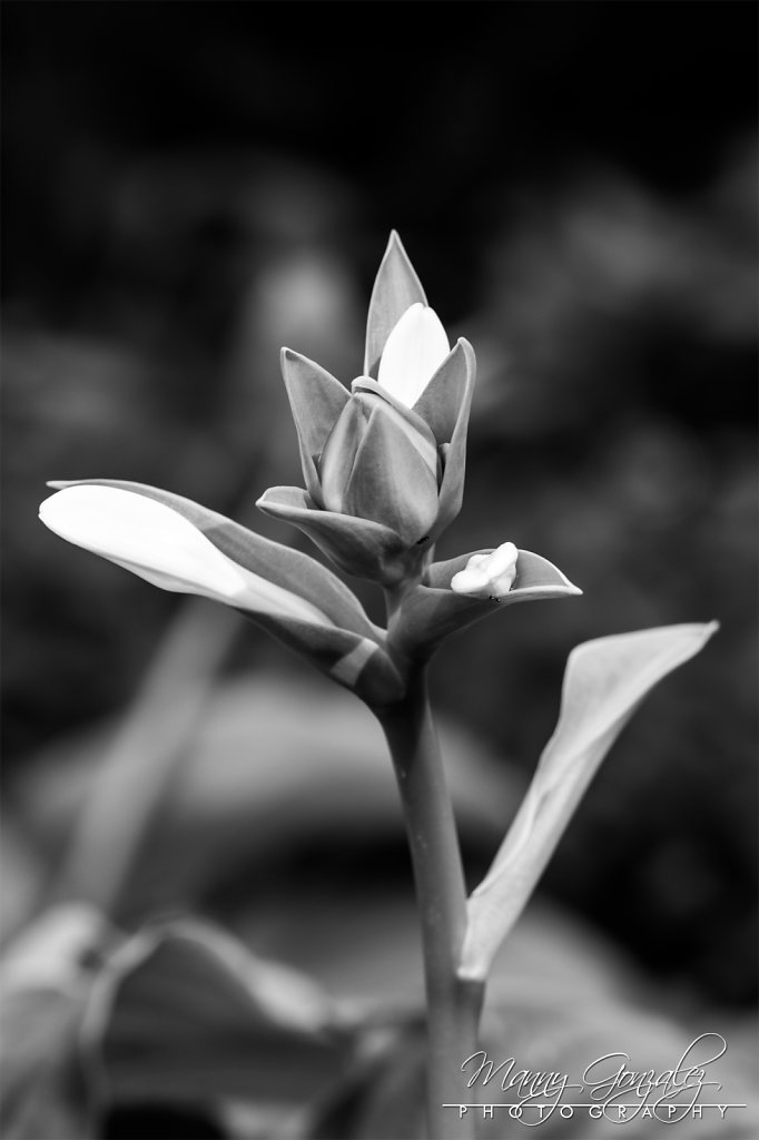 D81-1780-2048.jpg