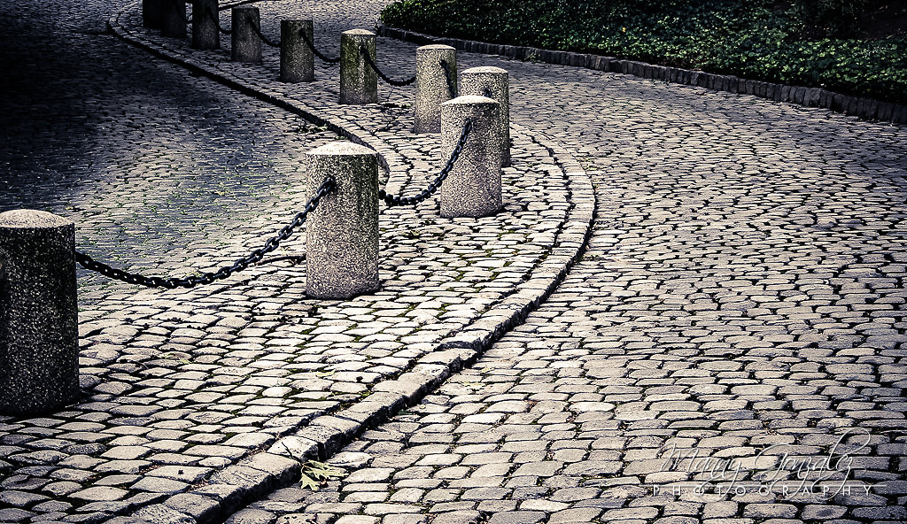 DSCN3202.jpg