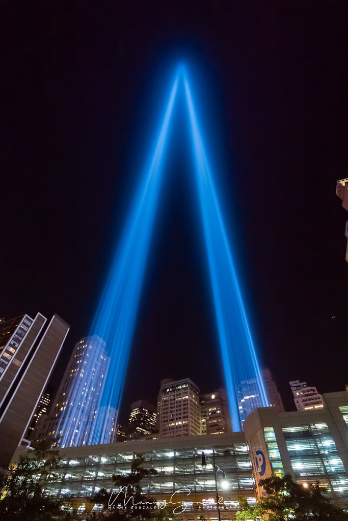 Tribute In Lights